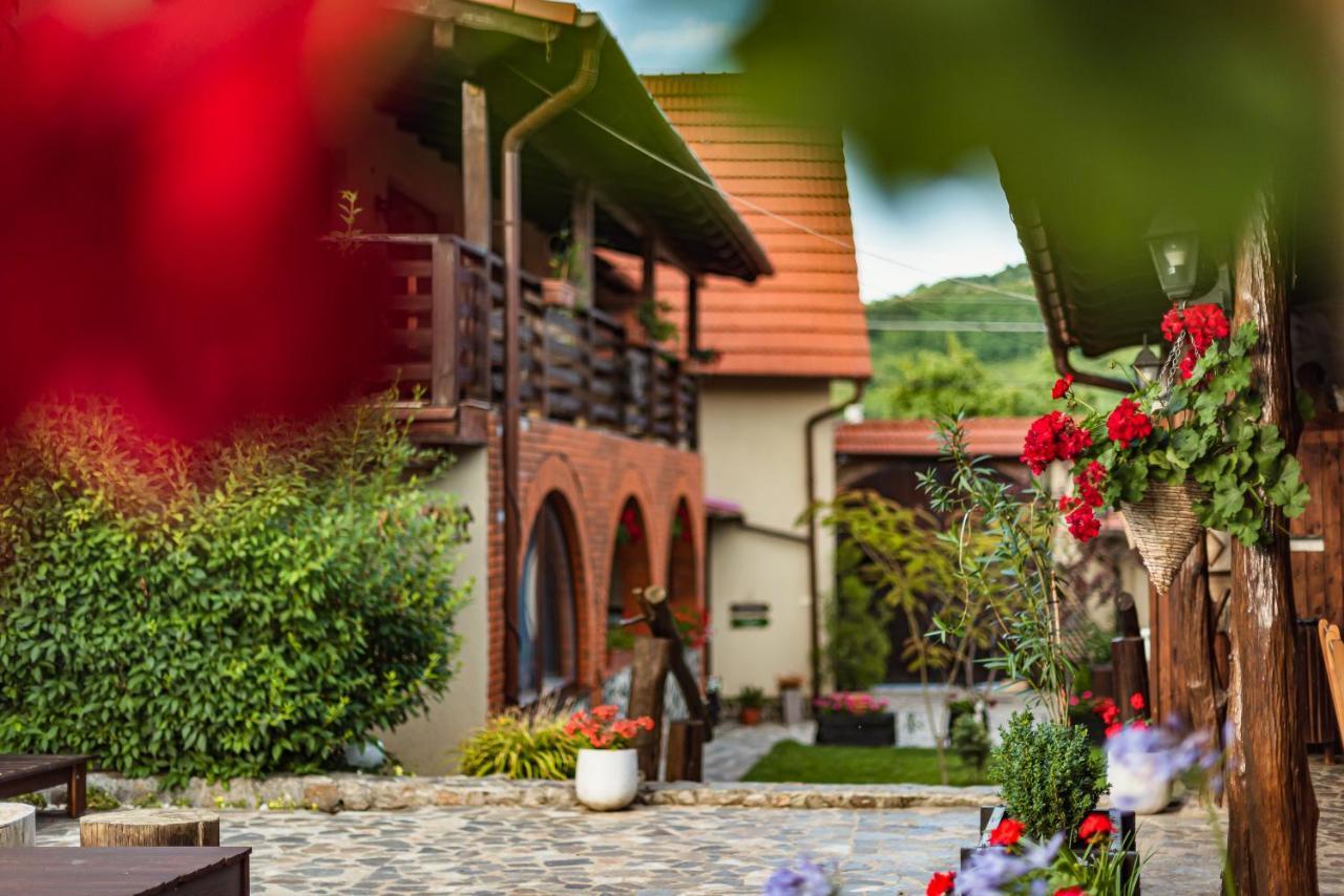 Casa Dives - Transylvania Pianu de Sus Exterior foto